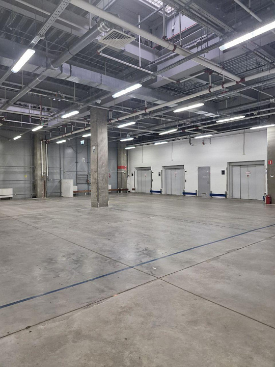 Сдам складские и торговые помещения + шоурум в ТЦ МЕГА, 10 000 м² фото