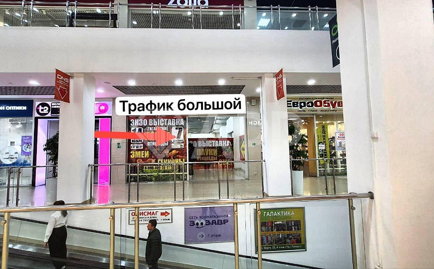 ТЦ Талер/Любой вид бизнеса/Огромный трафик/арендные каникулы/ фото