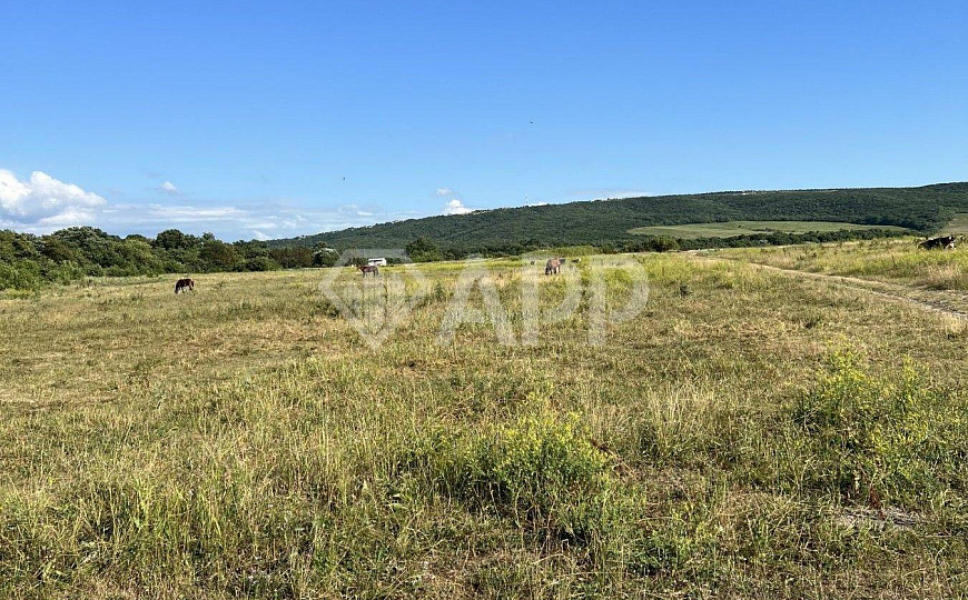 Продам земельный участок, 33,57 гектар фото