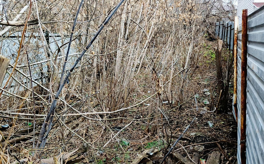 Земельный участок у Ботанического сада фото