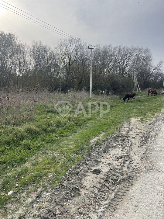 Продам земельный участок, 80 ар (сотка) ст. Раевская фото