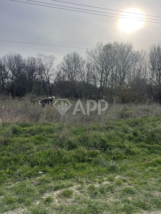 Продам земельный участок, 80 ар (сотка) ст. Раевская фото