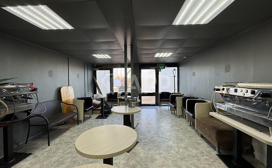 Услуги/Торговля/Общепит/Мега, 54 м² фото