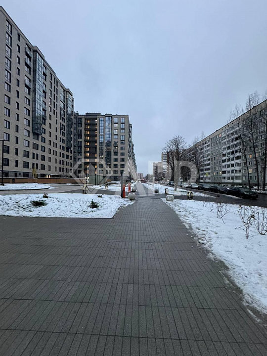 Сдам в аренду ПСН 100м фото