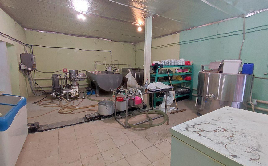 Сыроварня. фото