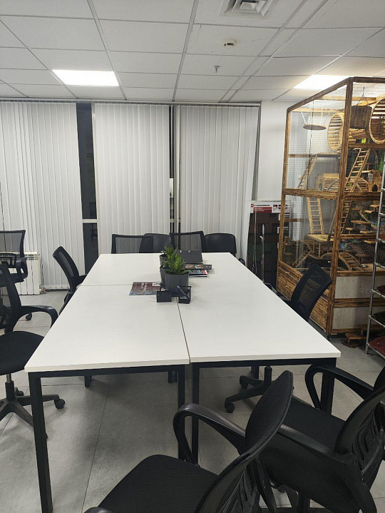 Сдам бизнес-центр/офисный центр, 150 м² фото