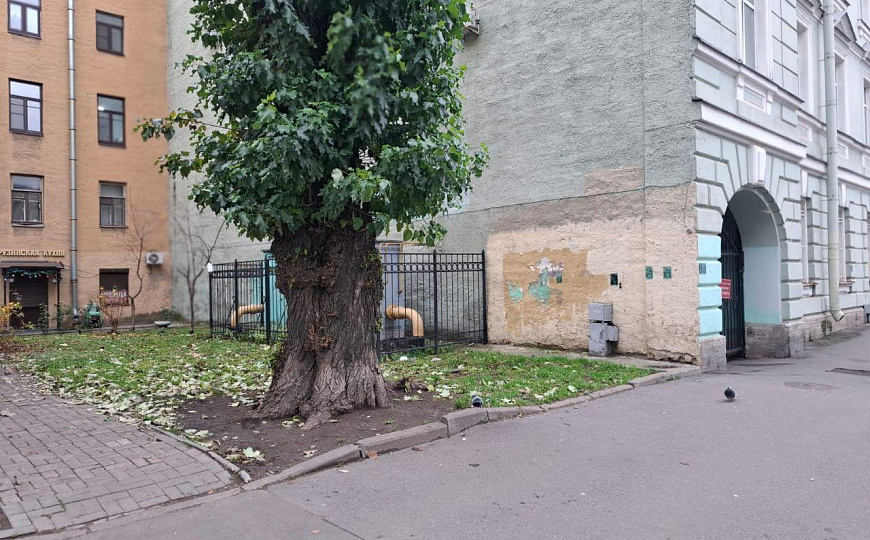 Сдам помещение свободного назначения, 80 м² фото