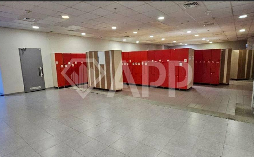 Сдаю помещение в Меге фото