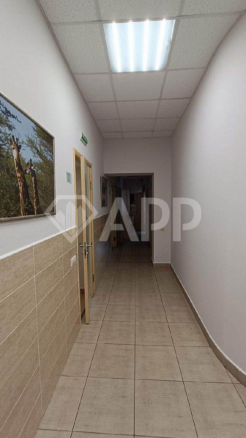 Помещения  700м2  с парковкой в центре фото