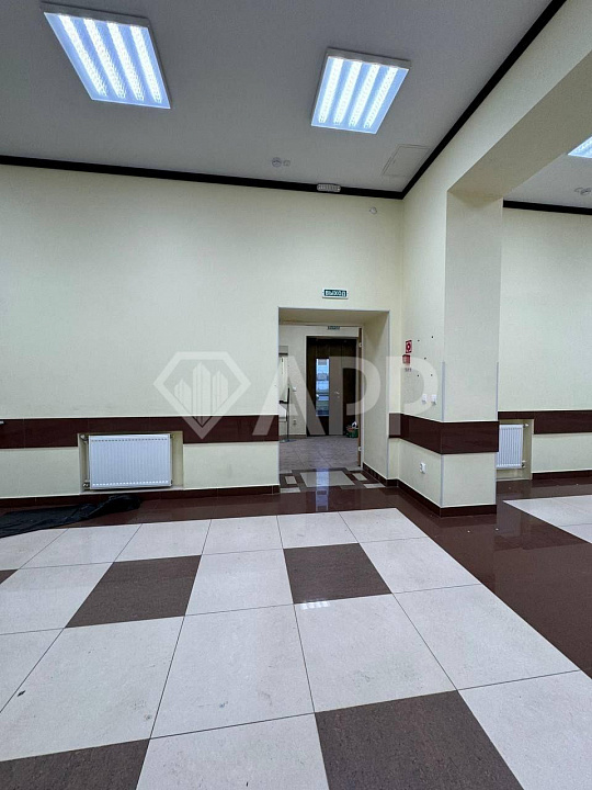 Сдам помещение с качественным ремонтом, 219м фото