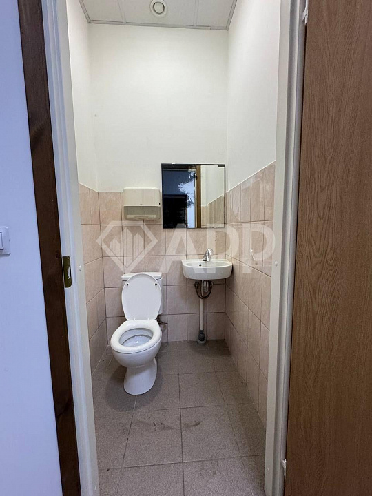 Сдам помещение с качественным ремонтом, 219м фото