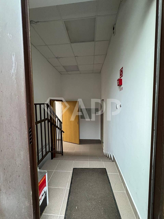 Сдам помещение с качественным ремонтом, 219м фото