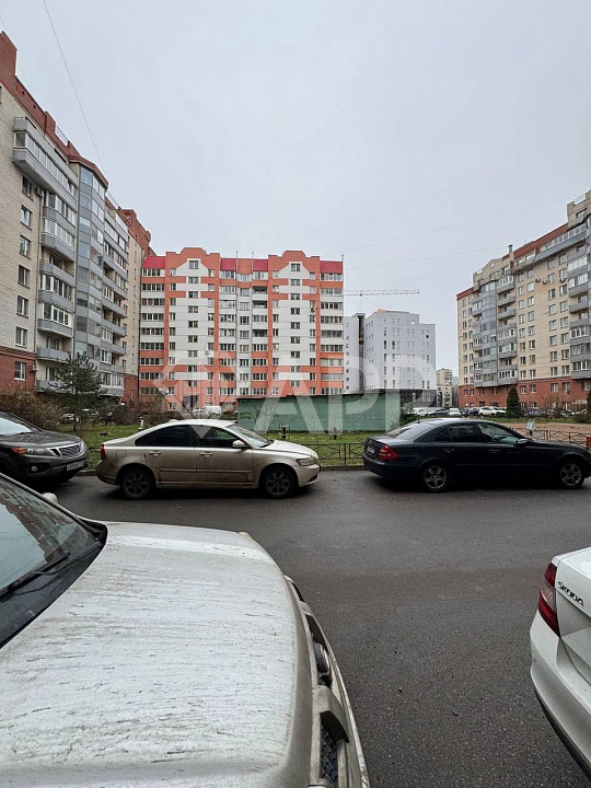 Сдам помещение с качественным ремонтом, 219м фото