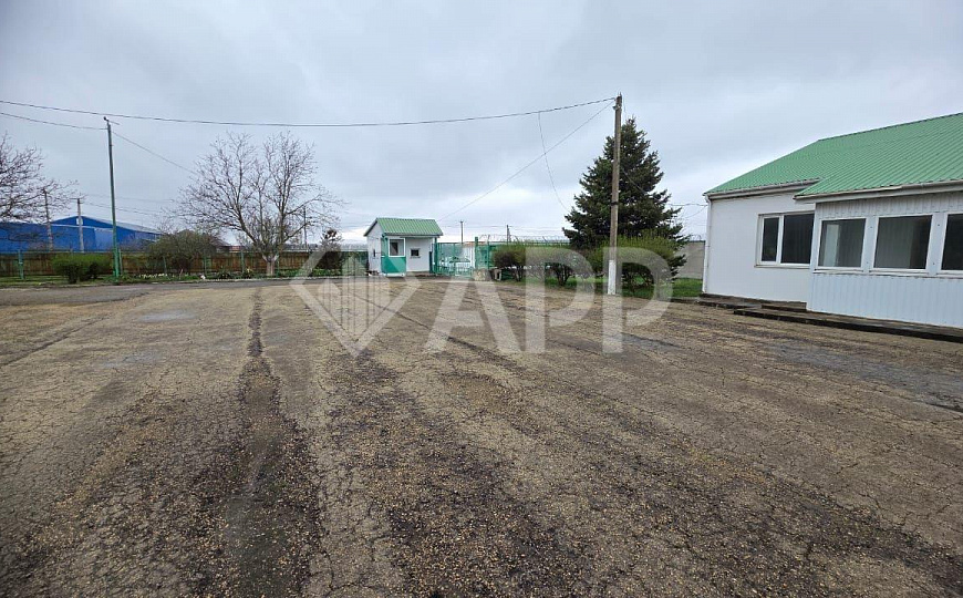 Сдаю производственно-складское помещение, 3000 м² фото