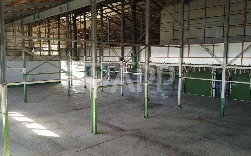 Сдаю производственно-складское помещение, 3000 м² фото