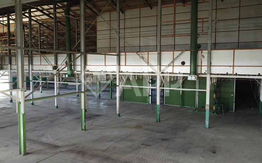 Сдаю производственно-складское помещение, 3000 м² фото