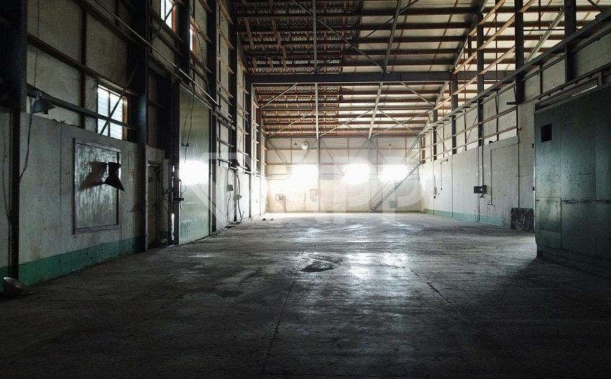 Сдаю производственно-складское помещение, 3000 м² фото