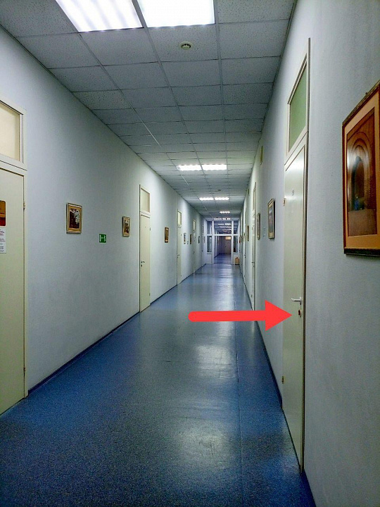 Сдам бизнес-центр/офисный центр, 41,2 м² фото