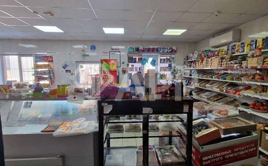 ГАБ/Здание и земля в Лузино, 220 м2 фото