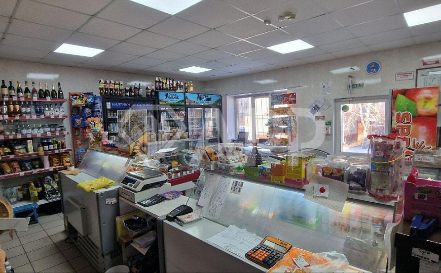 ГАБ/Здание и земля в Лузино, 220 м2 фото