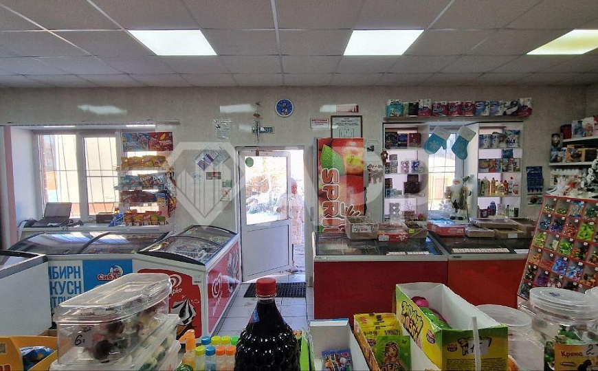 ГАБ/Здание и земля в Лузино, 220 м2 фото