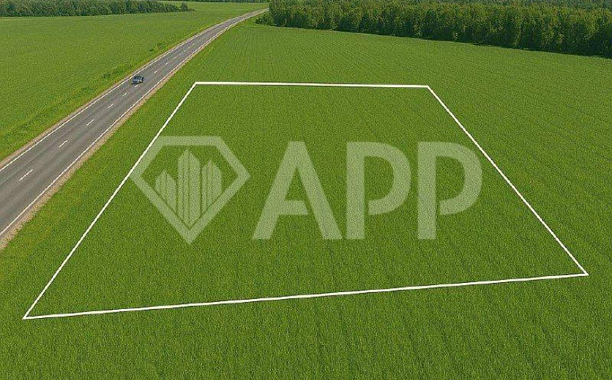 Продажа зу 25 га фото