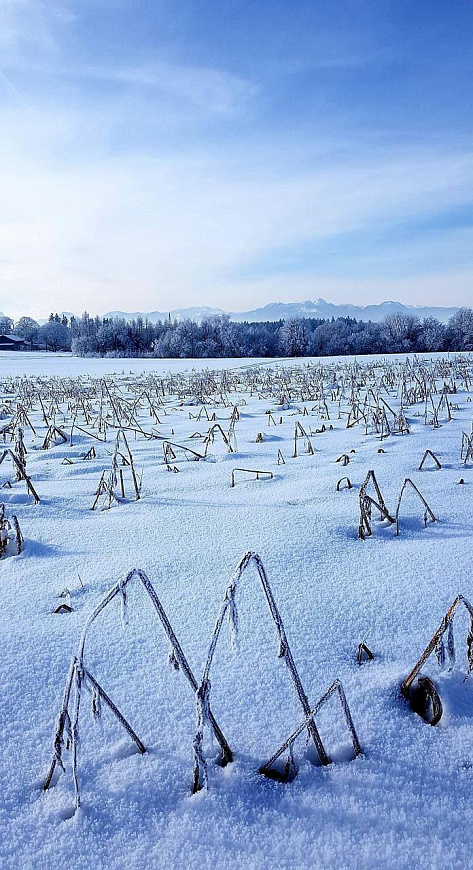 Продам земельный участок, 1,3 гектар фото
