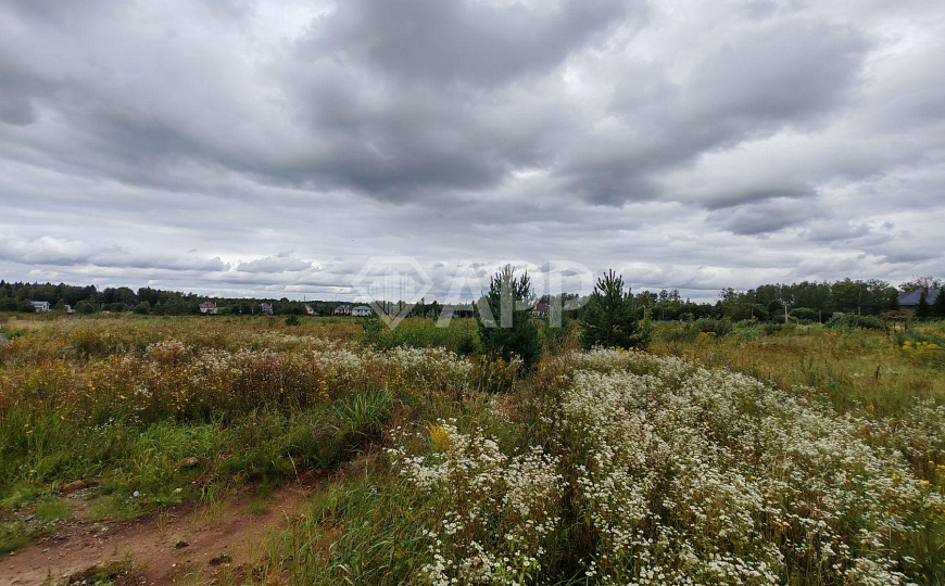 Участок ИЖС под коттеджи, 3 Га, Москва фото