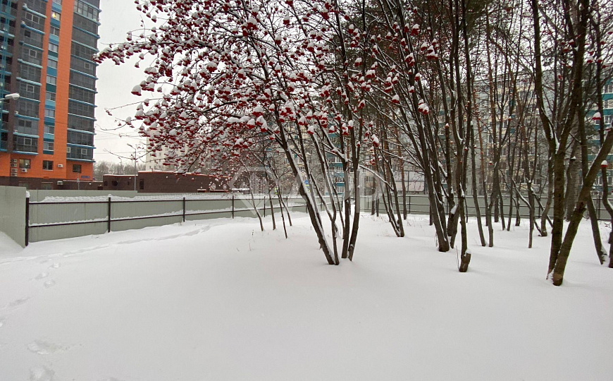 Оздоровительный центр, 2403.5м² фото