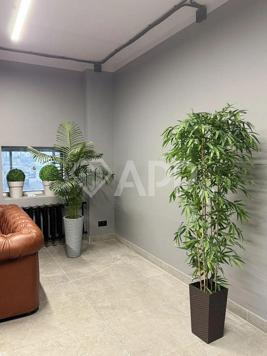 Помещение со своим входом фото