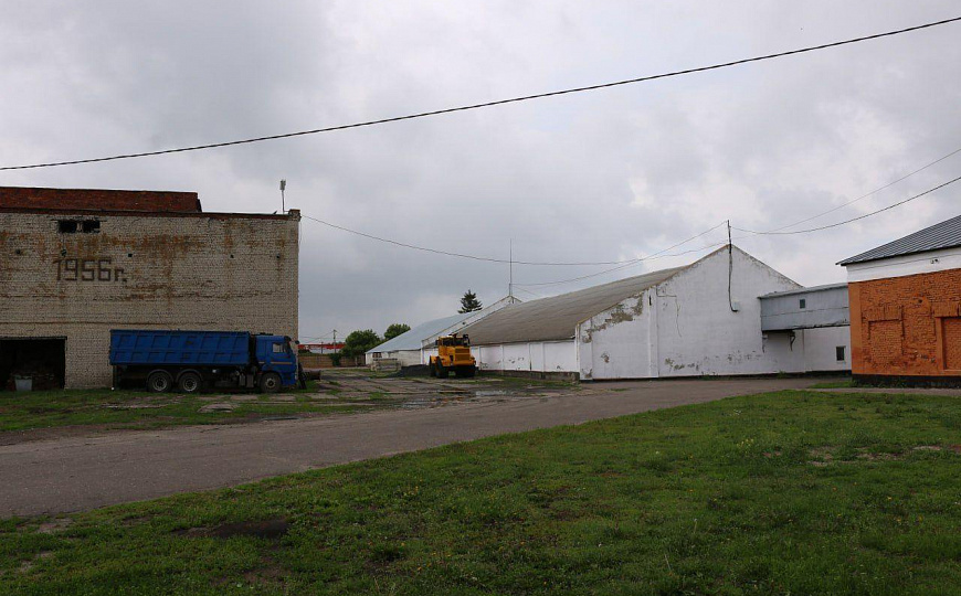 Мельница фото