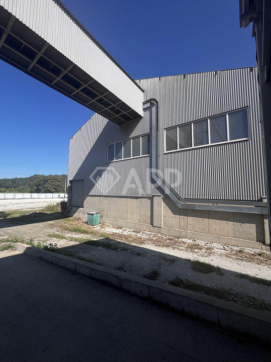 Продам земельный участок, 5 гектар фото