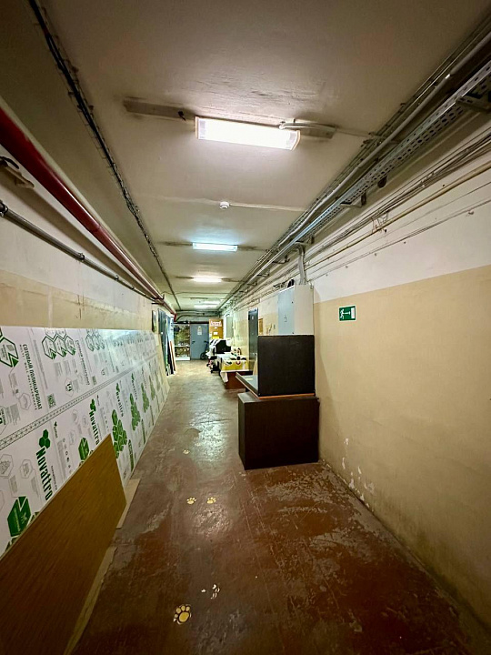 Аренда помещения 60,8 кв.м.  фото