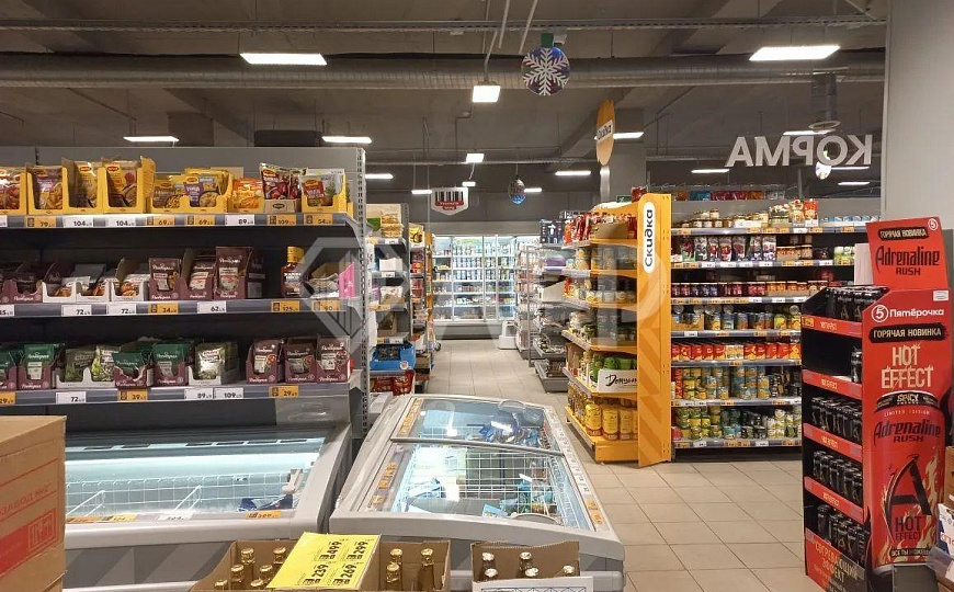  Продаю готовый арендный бизнес, 1/2 доля помещения 500 кв м с  Пятерочкой фото