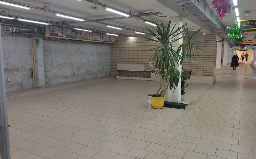 Сдам торговое помещение в цоколе от 16 м² до 300 м² фото