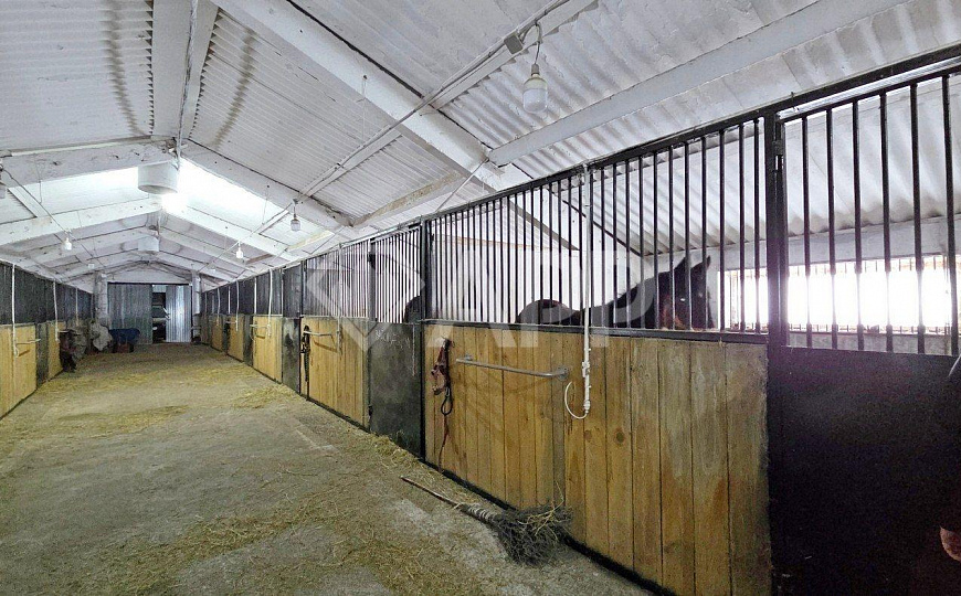 Ферма 7500м² с сельхозугодиями 900га фото