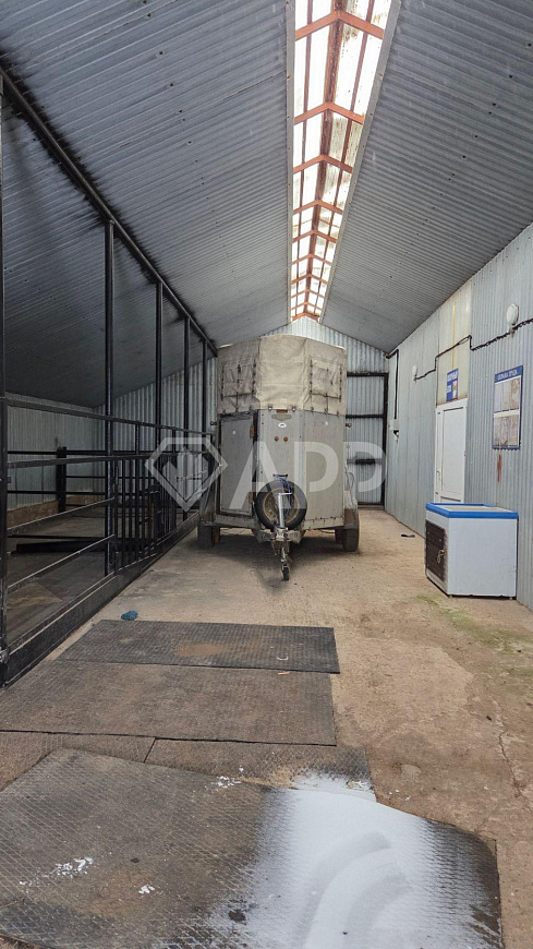 Ферма 7500м² с сельхозугодиями 900га фото