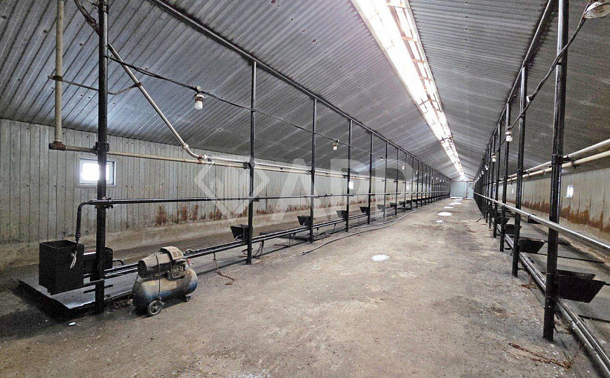 Ферма 7500м² с сельхозугодиями 900га фото