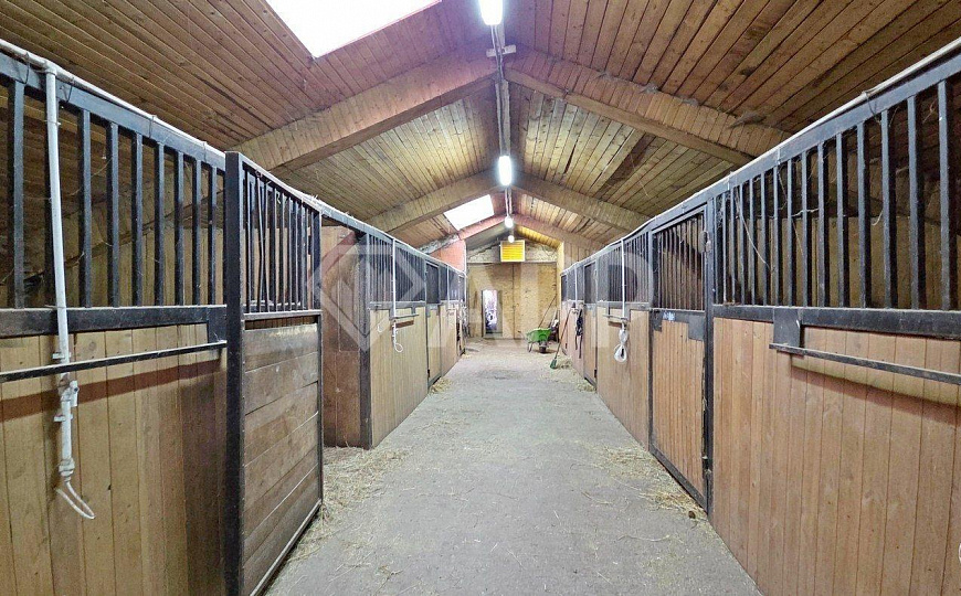 Ферма 7500м² с сельхозугодиями 900га фото