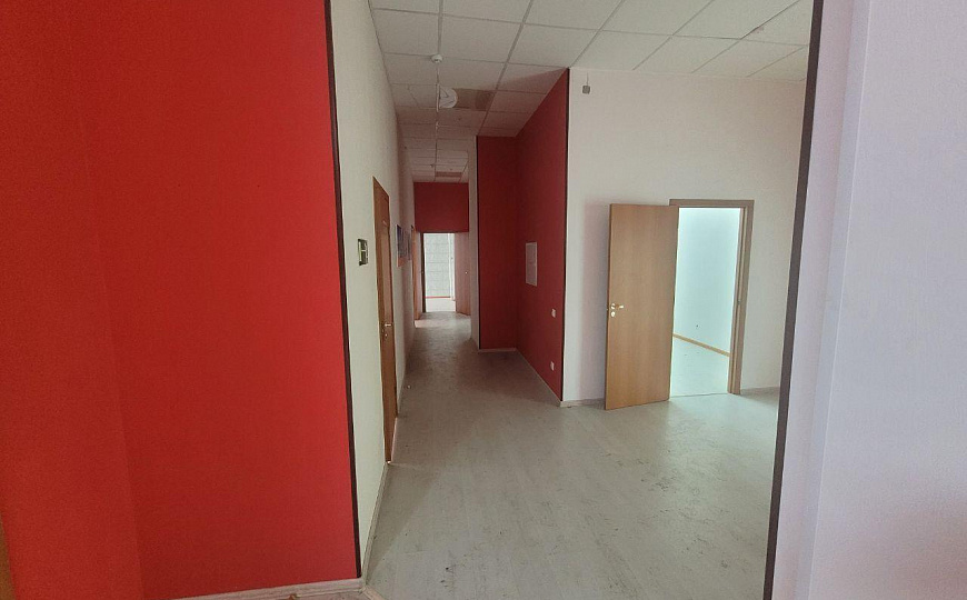 Свободного назначения. фото