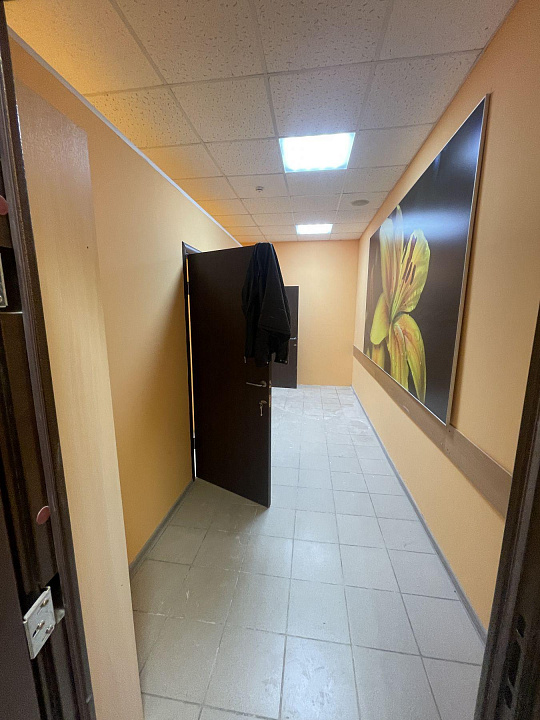 Сдам офисное помещение, 35 м² фото