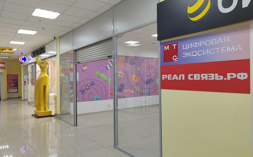 Торговое помещение 156 и 43 м² в ТЦ Новая Легенда в Чапаевске  фото