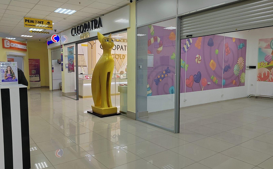 Торговое помещение 156 и 43 м² в ТЦ Новая Легенда в Чапаевске  фото