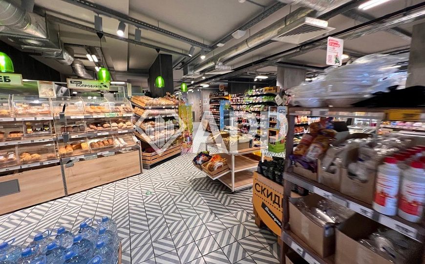 Продаю готовый арендный бизнес, 530 м² фото