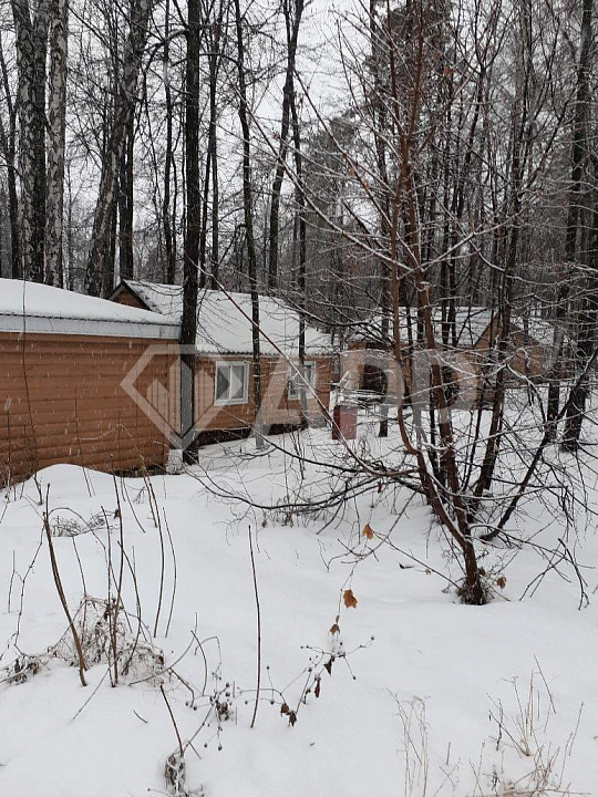 Продам базу отдыха в лесу  фото