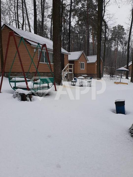 Продам базу отдыха в лесу  фото