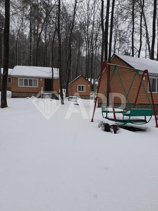 Продам базу отдыха в лесу  фото