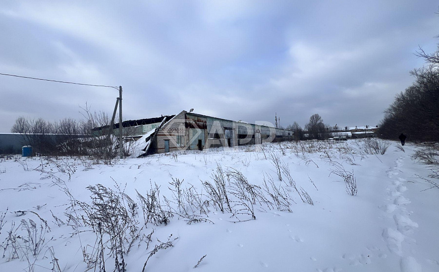 Сдам холодный склад, 5000 м² фото