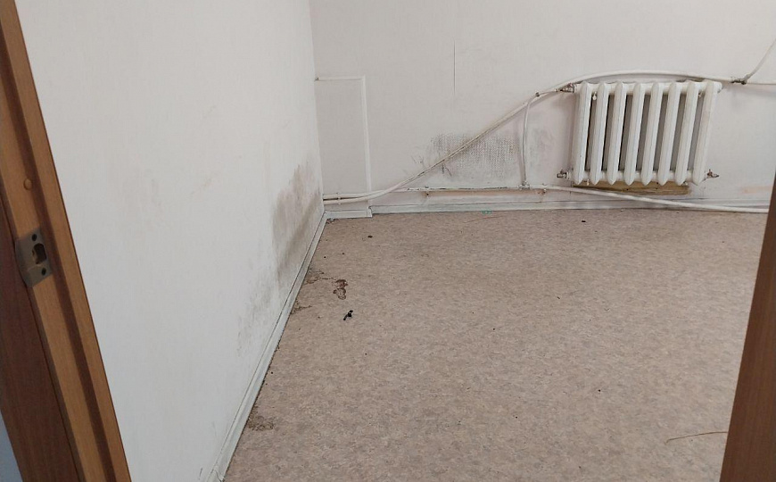 Помещение свободного назначения (Офис), 100 м² фото