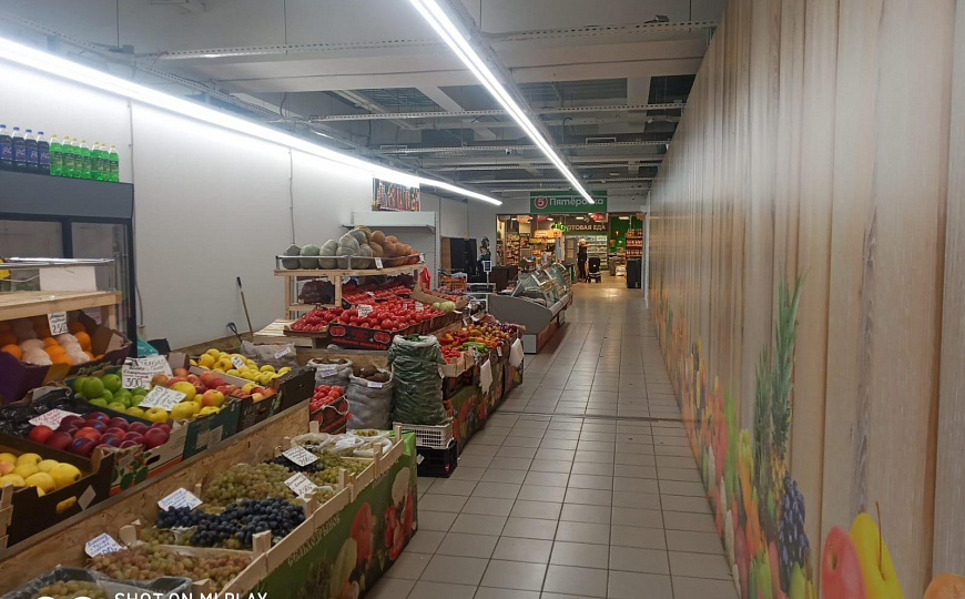 Освобождает в декабре фото